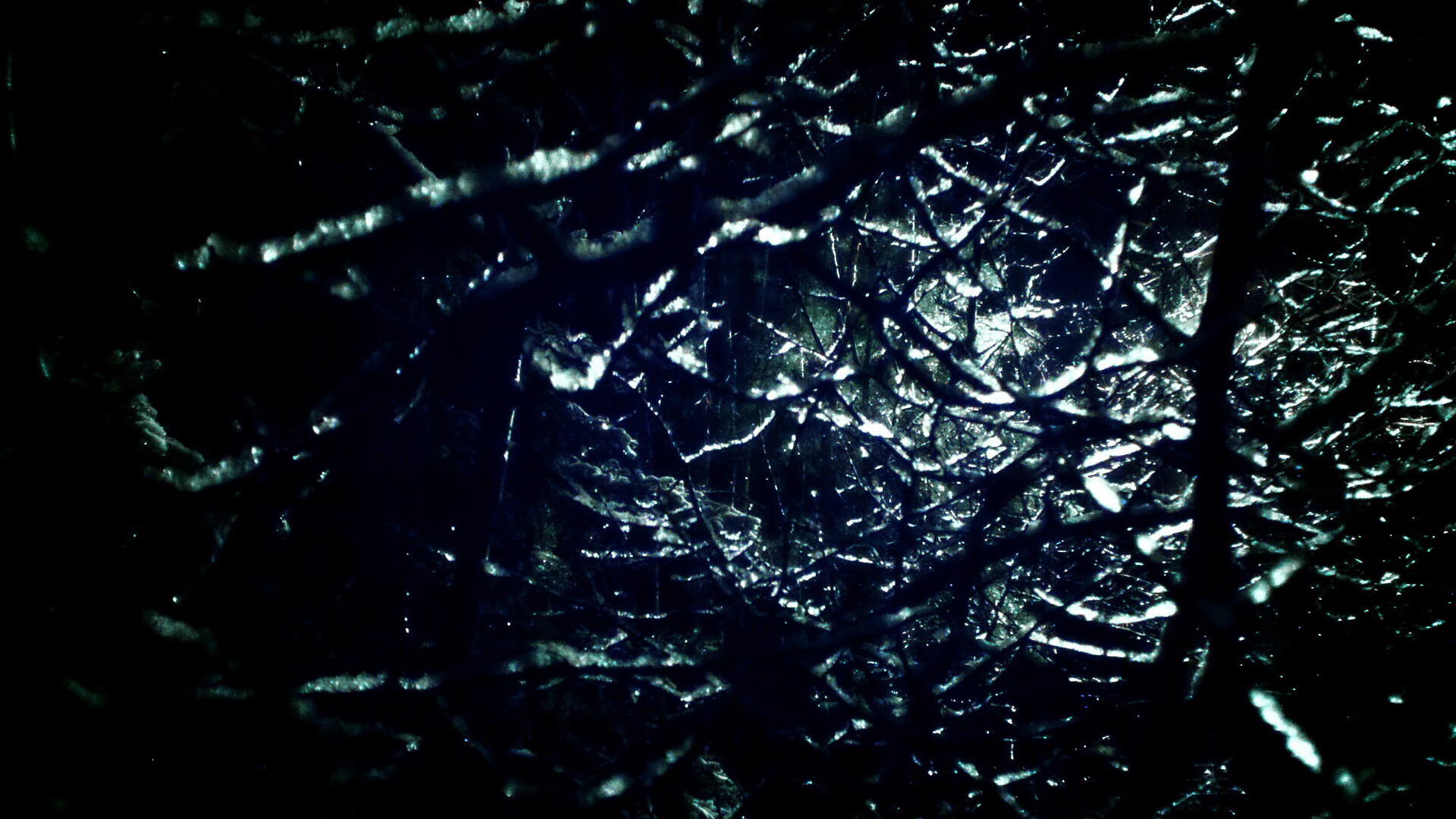 APP软件入口-热血较量：浙江队实现连胜刷新记录