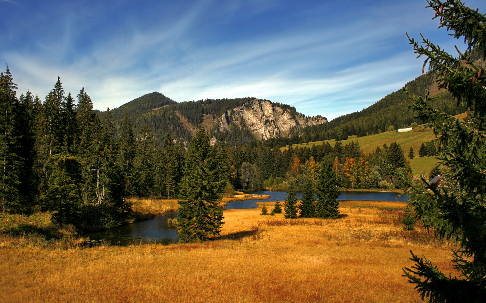 英格兰反曲弓队在2024年英国田野锦标赛中获胜,反曲弓比赛