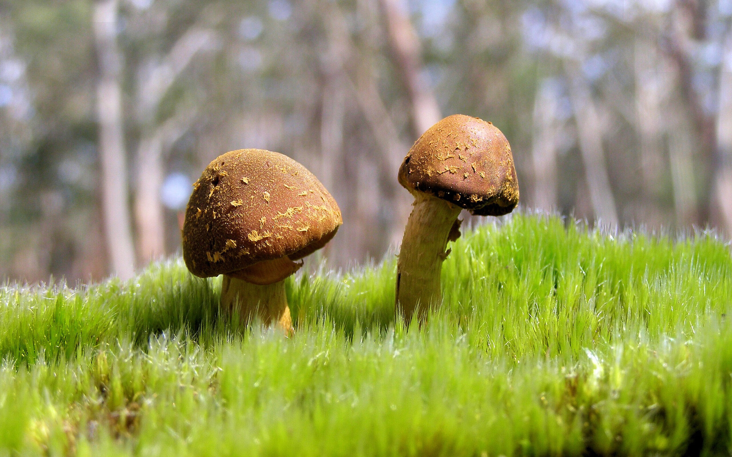 九游体育网站-西班牙队在欧洲杯期间的战术调整取得显著成效，西班牙欧洲杯阵容分析