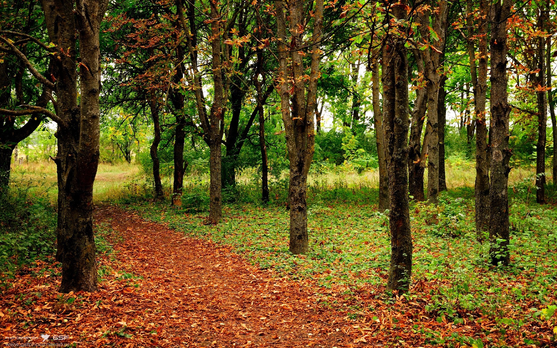 阿根廷门神表现抢眼,意甲球队迎来连胜,阿根廷神奇门将