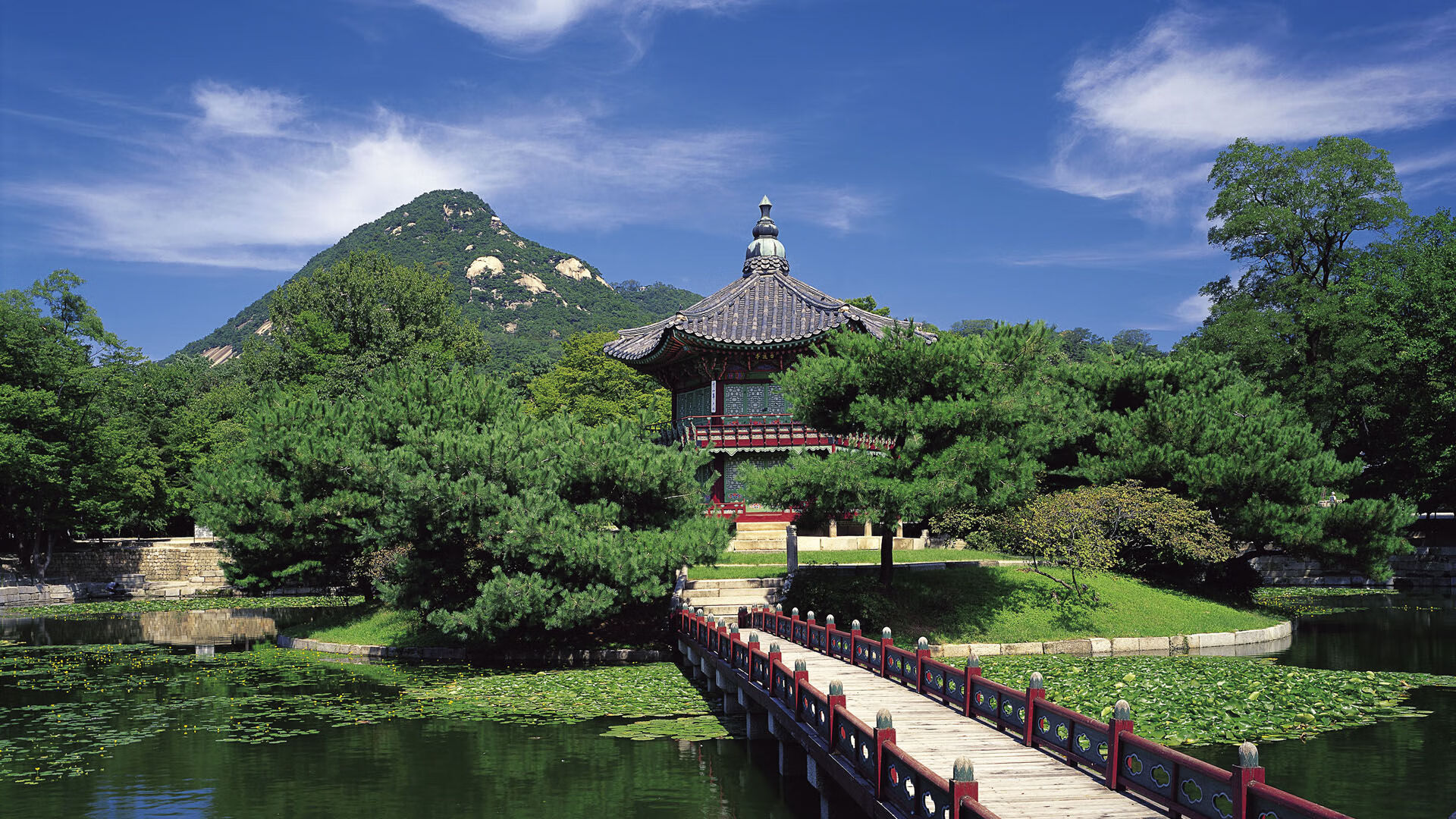 中国女篮重返亚洲巅峰 目标剑指奥运领奖台，中国女蓝晋级奥运会