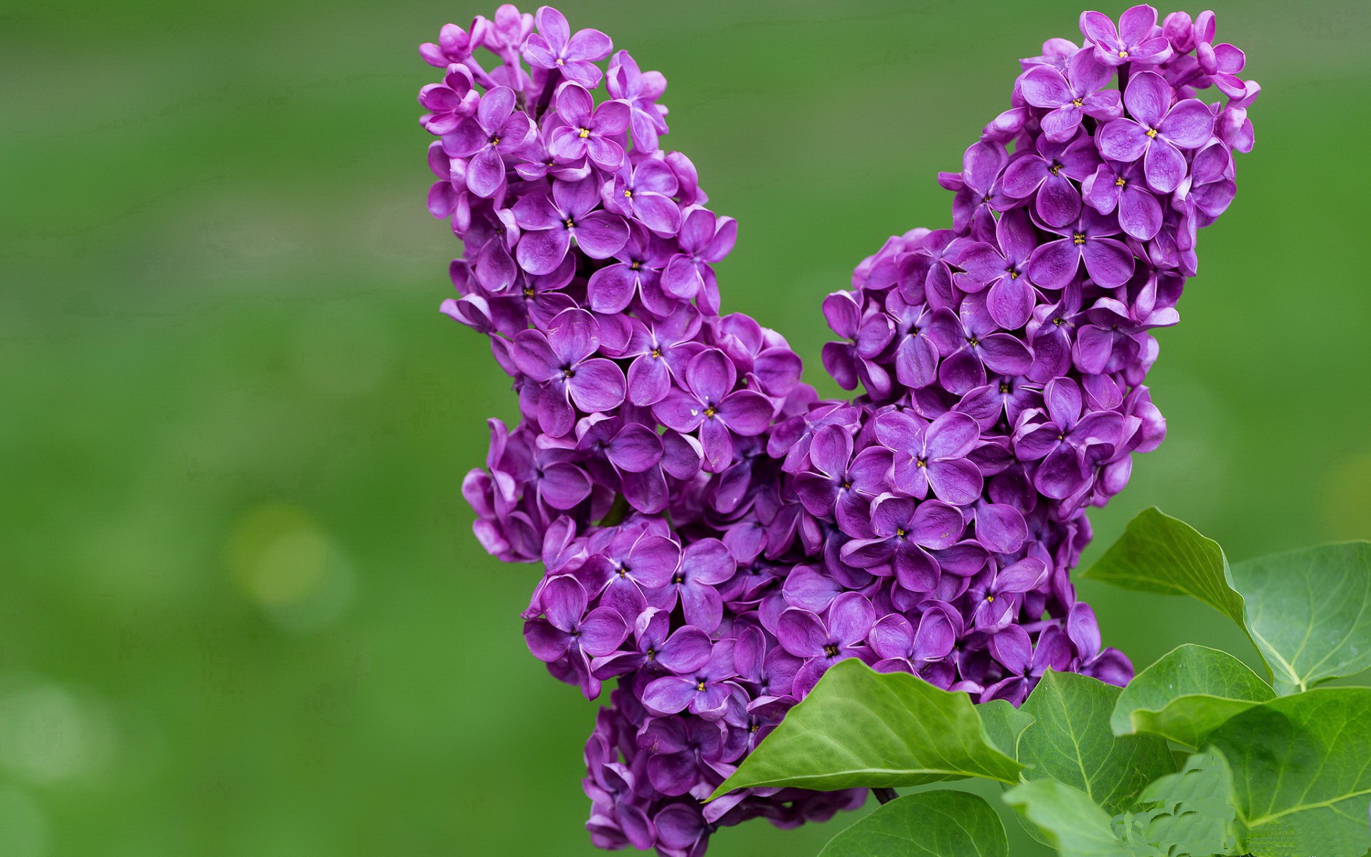 国家棒球队新闻中心提示选拔测试时间及流程，中国国家棒球队