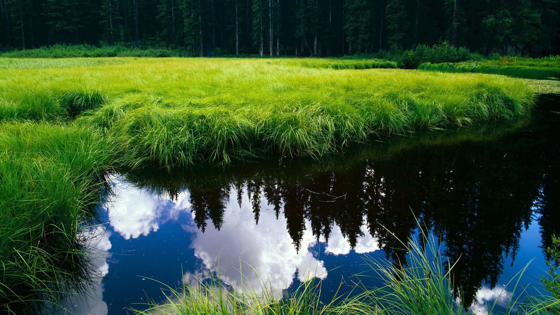 塔图姆带动球队节奏比赛控制得当，塔图姆水平怎么样