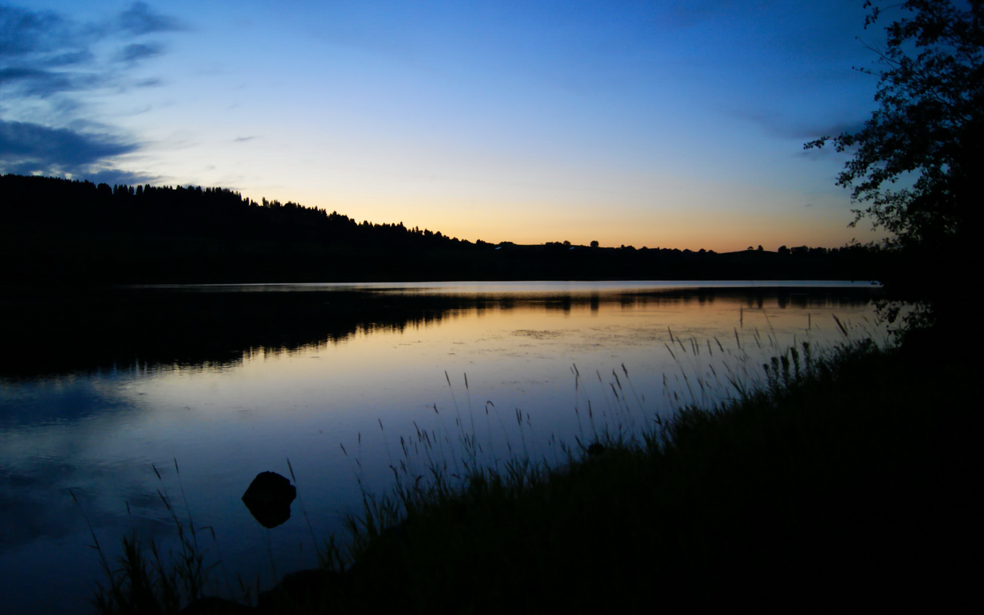 袋鼠队橄榄球技术细腻,快速攻防转换成竞争优势,袋鼠运球游戏规则