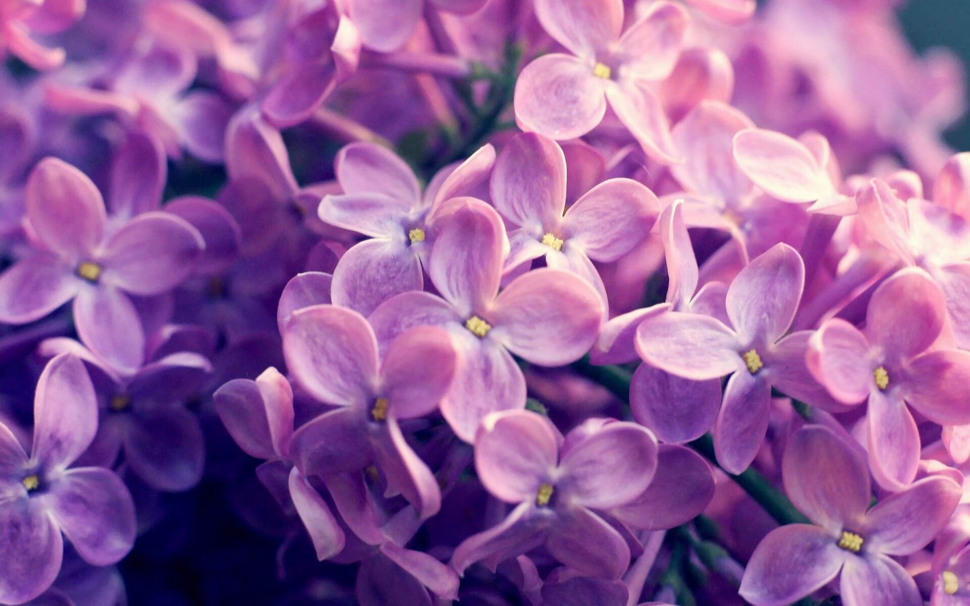 训练课引入反应球训练提高球员注意力集中与预判能力,反应球训练有什么好处