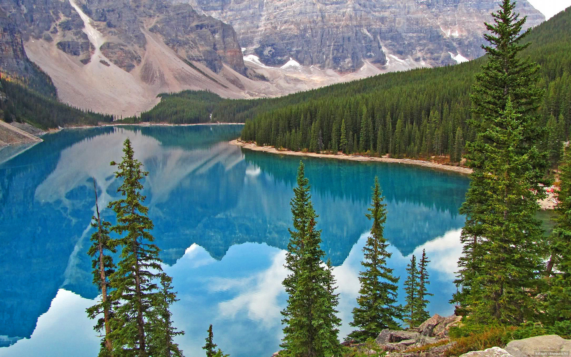 九游娱乐网页版-陈芋汐10米跳台决赛夺冠掀起关注，陈芋汐最后一跳多少分